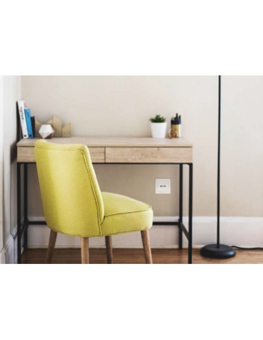 Logilink Presa a Muro 2 porte USB Bianco