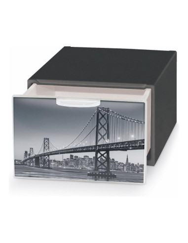 Cassetto ordinatore Domoliving QBM010...