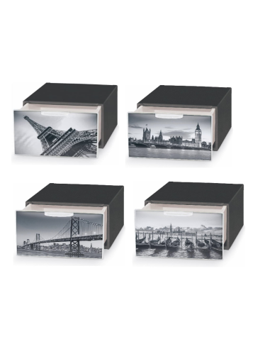 Cassetto ordinatore Domoliving QBM010...