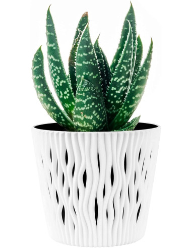 Vaso rotondo 2 in 1 in plastica...